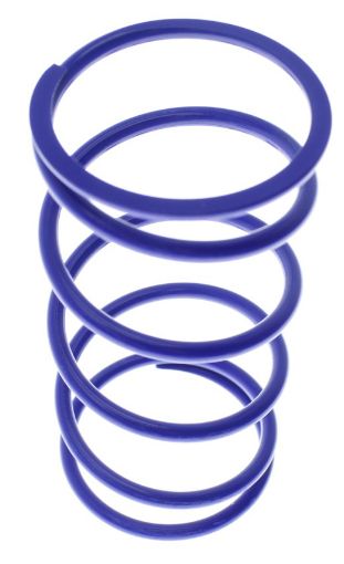 Bild von Outer replacement spring - OD 47.1mm - Blue