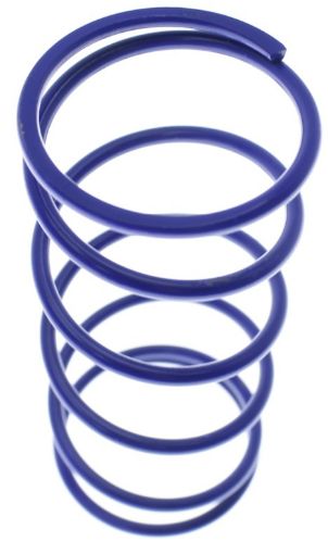Bild von Middle replacement spring - OD 38.1mm - Blue