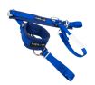 Bild von NRG SFI 3.3 Arm Restraints One Pair - Blue
