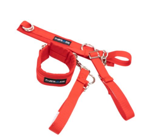 Bild von NRG SFI 3.3 Arm Restraints One Pair - Red