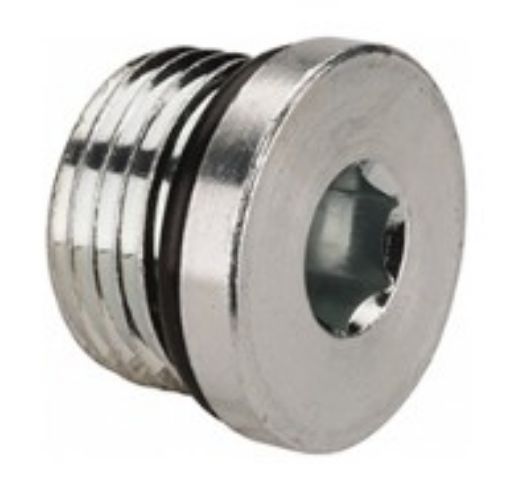Bild von 1/4 Bspp plug
