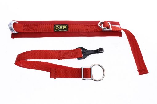 Bild von QSP Arm strop - Arm restraints SFI 3.3 Approval - RED