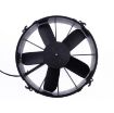 Bild von 24V VA01-BP70/LL-36S (305 MM)