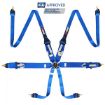 Bild von RRS FIA 3" 2" R6 HANS® Superlight 2,8 Kg Blauer Gurt