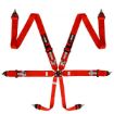 Bild von RRS FIA 3" 2" R6 HANS® 2,8 Kg Roter Gurt