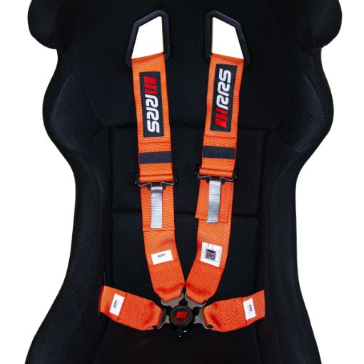 Bild von RRS FIA 4-Punkt Orange Gurt