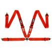 Bild von RRS FIA EVO 4 2,5 Kg Roter Gurt (4-Punkt)