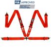 Bild von RRS FIA EVO 4 2,5 Kg Roter Gurt (4-Punkt)