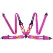 Bild von RRS FIA EVO 4 2,5 Kg Rosa Gurt (4-Punkt)