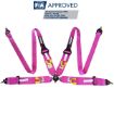 Bild von RRS FIA EVO 4 2,5 Kg Rosa Gurt (4-Punkt)