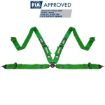 Bild von RRS FIA EVO 4 2,5 Kg Grüner Gurt (4-Punkt)