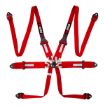 Bild von RRS FIA HANS® ONE 6-Punkt Roter Gurt