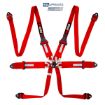 Bild von RRS FIA HANS® ONE 6-Punkt Roter Gurt