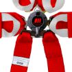 Bild von RRS FIA HANS® ONE 6-Punkt Roter Gurt