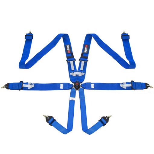 Bild von RRS FIA R6 2,9 Kg Blauer Gurt (6-Punkt)
