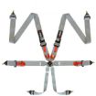 Bild von RRS FIA R6 Grauer Gurt