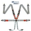 Bild von RRS FIA R6 Grauer Gurt