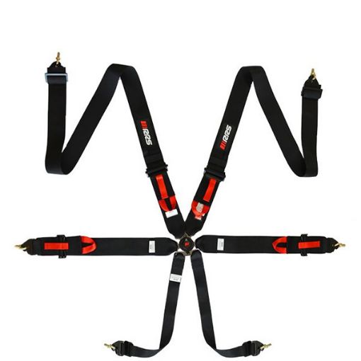 Bild von RRS FIA R6 2,9 Kg Schwarzer Gurt (6-Punkt)