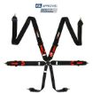 Bild von RRS FIA R6 2,9 Kg Schwarzer Gurt (6-Punkt)