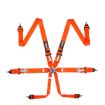 Bild von RRS FIA R6 Orange Gurt
