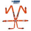 Bild von RRS FIA R6 Orange Gurt