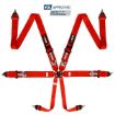 Bild von RRS FIA R6 2,9 Kg Roter Gurt (6-Punkt)
