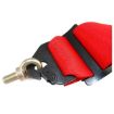 Bild von RRS FIA R6 2,9 Kg Roter Gurt (6-Punkt)