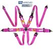 Bild von RRS FIA R6 Rosa Gurt