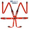 Bild von RRS FIA 3" 2" R6 HANS® 2,8 Kg Roter Gurt