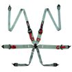 Bild von RRS FIA 3" 2" R6 HANS® 2,8 Kg Grauer Gurt