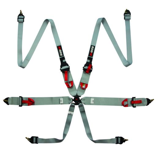 Bild von RRS FIA 3" 2" R6 HANS® 2,8 Kg Grauer Gurt