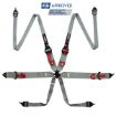 Bild von RRS FIA 3" 2" R6 HANS® 2,8 Kg Grauer Gurt