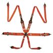 Bild von RRS FIA 3" 2" R6 HANS® 2,8 Kg Orange Gurt