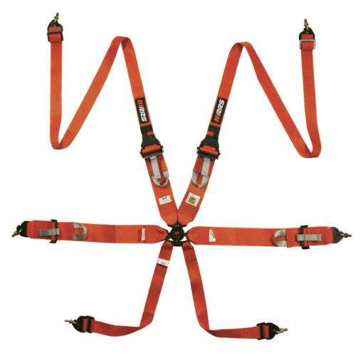 Bild von RRS FIA 3" 2" R6 HANS® 2,8 Kg Orange Gurt