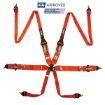 Bild von RRS FIA 3" 2" R6 HANS® 2,8 Kg Orange Gurt