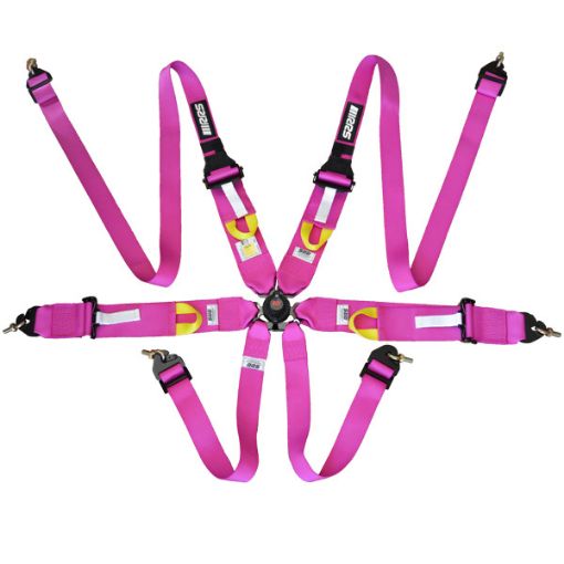 Bild von RRS FIA 3" 2" R6 HANS® Superlight 2,8 Kg Rosa Gurt