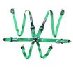 Bild von RRS FIA 3" 2" R6 HANS® 2,8 Kg Grüner Gurt