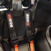 Bild von RRS FIA R6 Light Evo Gurte