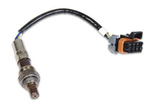 Bild von Holley 554-100 - Holley EFI O2 Sensors