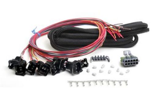 Bild von Holley EFI Systems Wiring Harnesses 558-204