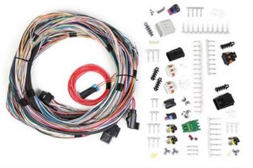 Bild von Holley EFI Systems Wiring Harnesses 558-105