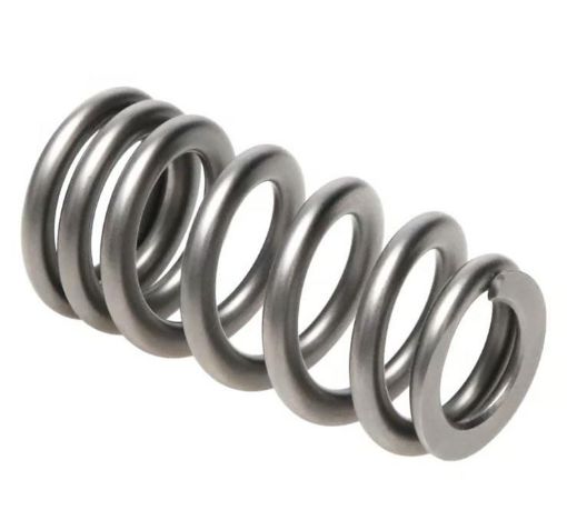 Bild von PAC Racing RPM Series Valve Springs PAC-1234X-16