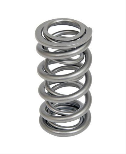 Bild von Trick Flow® by PAC Racing Dual Valve Springs TFS-16521-1