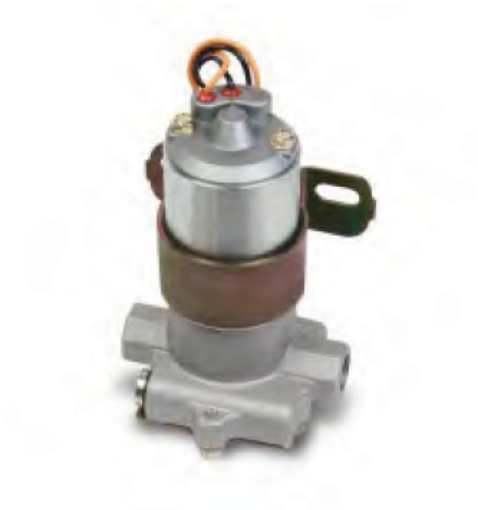 Bild von 110 GPH Electric Fuel pump